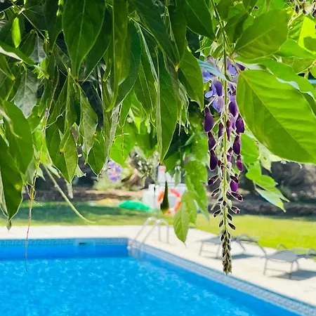 Πανσιόν Change The World - Solar De 4*